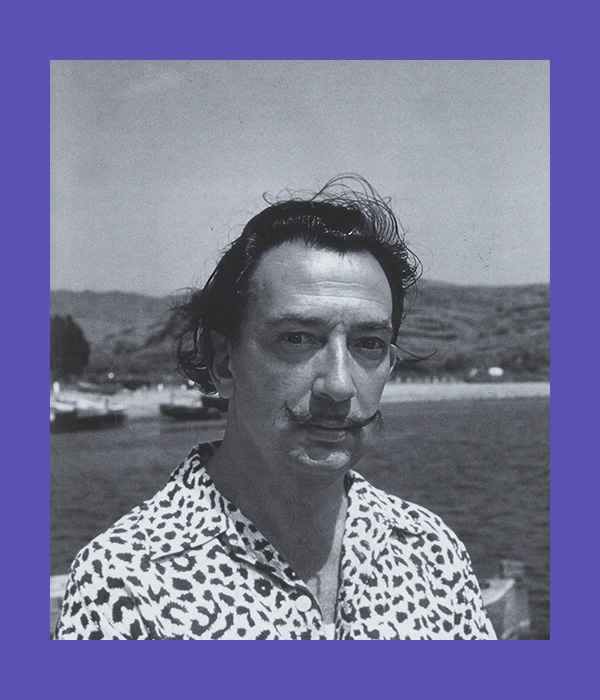 Dali: Disruption + Devotion - Afbeelding 2