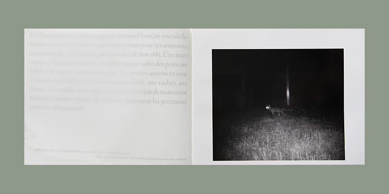 Sophie Calle: On the Hunt - Afbeelding 6