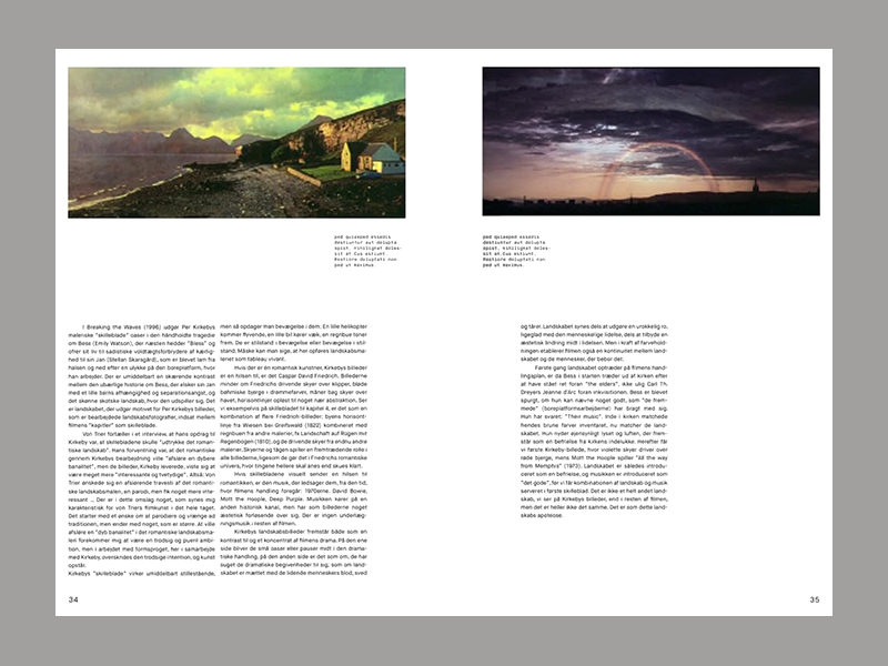 Descendant: Lars von Trier and Nordic Art - Afbeelding 6
