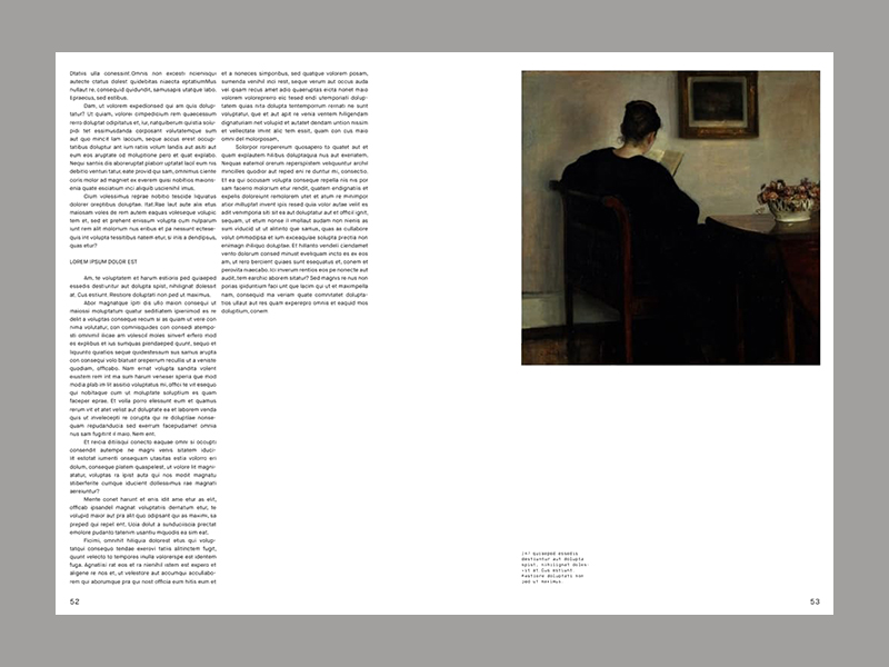 Descendant: Lars von Trier and Nordic Art - Afbeelding 3