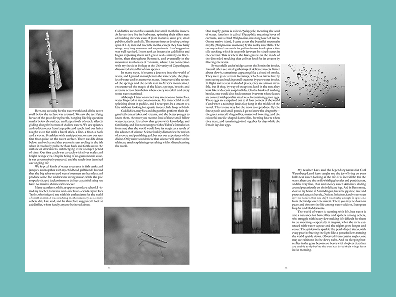Dorte Mandrup: Light & Water - Afbeelding 5